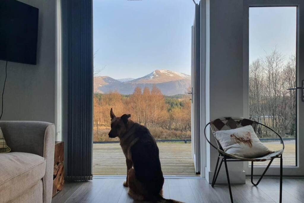 Ben Nevis Scotland Highlands, Camden House Luxury Home Φορτ Γουίλιαμ Εξωτερικό φωτογραφία