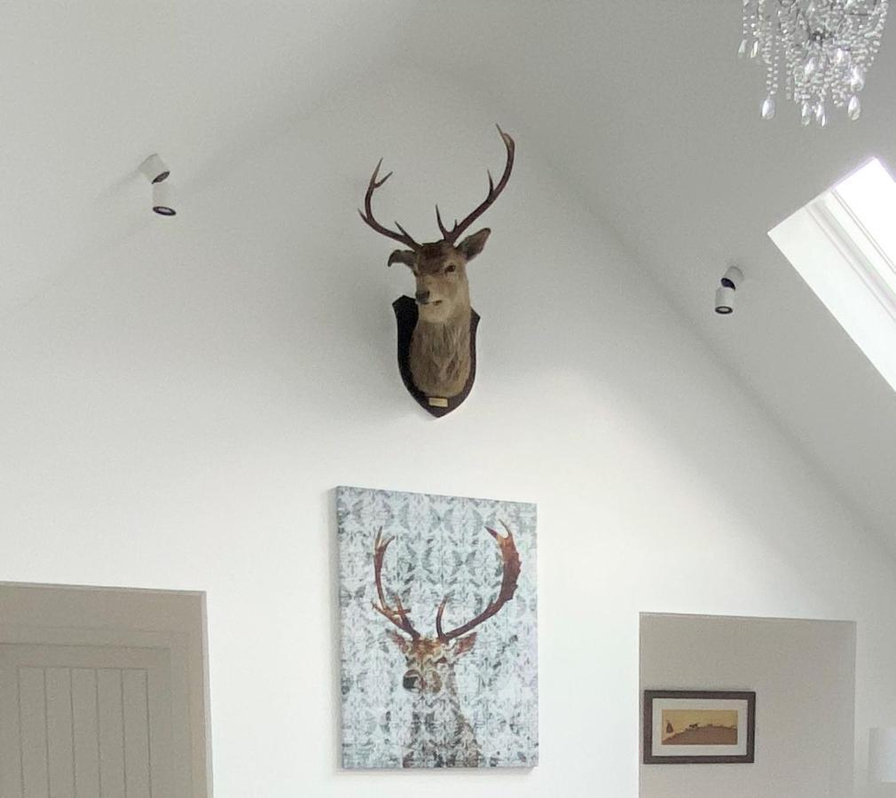 Ben Nevis Scotland Highlands, Camden House Luxury Home Φορτ Γουίλιαμ Εξωτερικό φωτογραφία